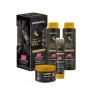 KIT CAPILAR CAVALO DO BRASIL 4 ITENS BIOINNOVA